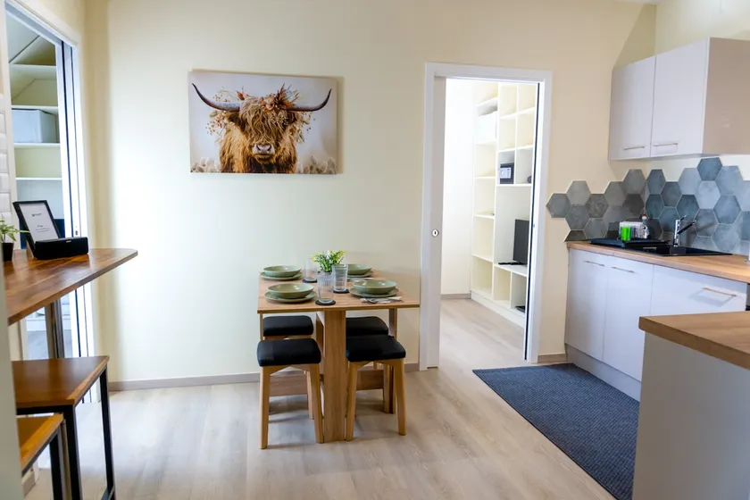 Air-conditioned apartment - Strasbourg - Europapark - Image 1