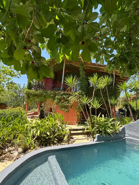 A magical place surrounded by nature. - Image 1