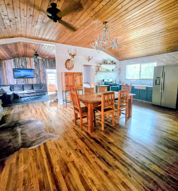 Ocala National Forest Cabin Firefly Season is Here - Image 1