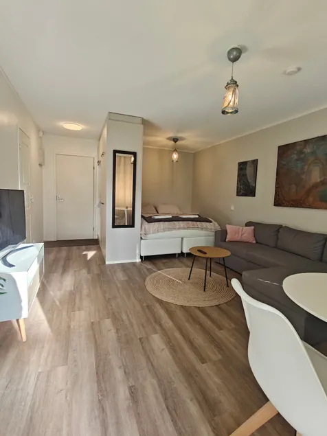 Modern city home + private sauna (350m to the train) - Image 1