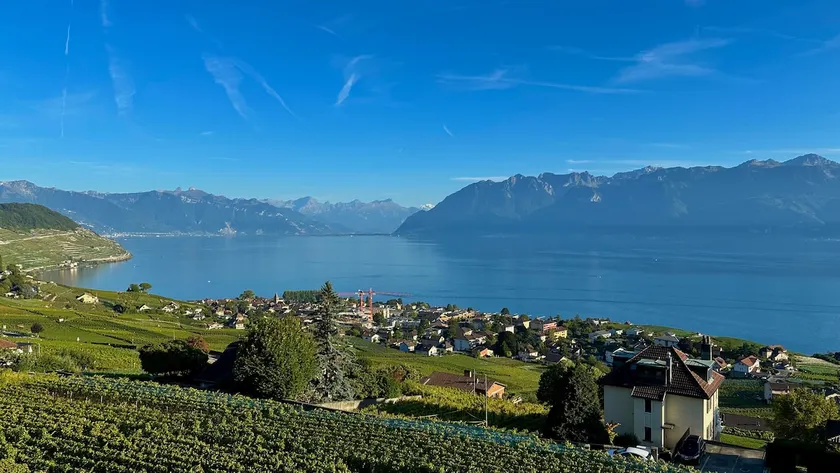 In the Vines - Exceptional Lake & Alps View - Image 1