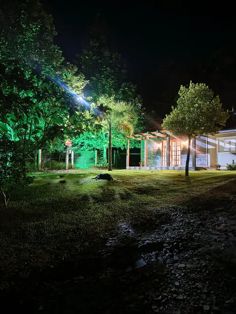 Quinta dos Plátanos - Image 1