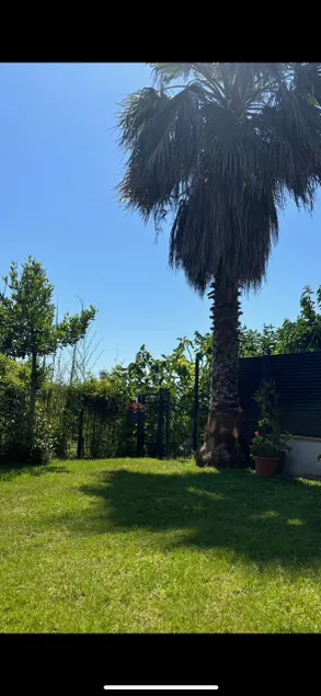 Mini Villa - Image 1