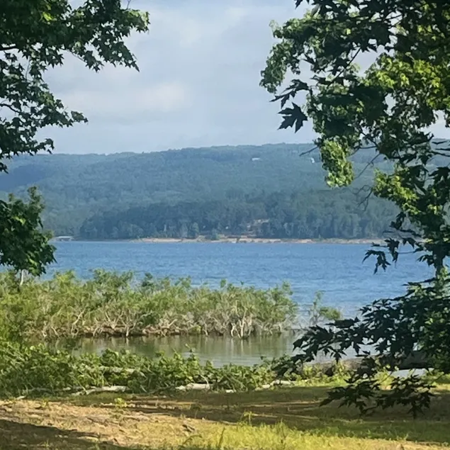 Cozy, spacious 5 bedroom Greers Ferry lake home. - Image 1