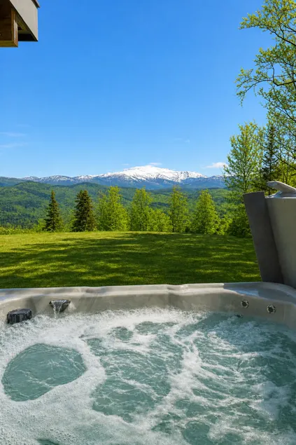 LUX: Best View in Jackson | Hot Tub | New Home - Image 1