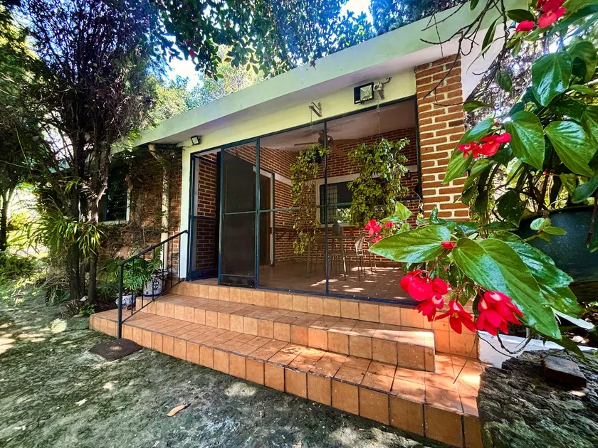 Royal Orchid - Natural charm in Tepoztlán - Image 1