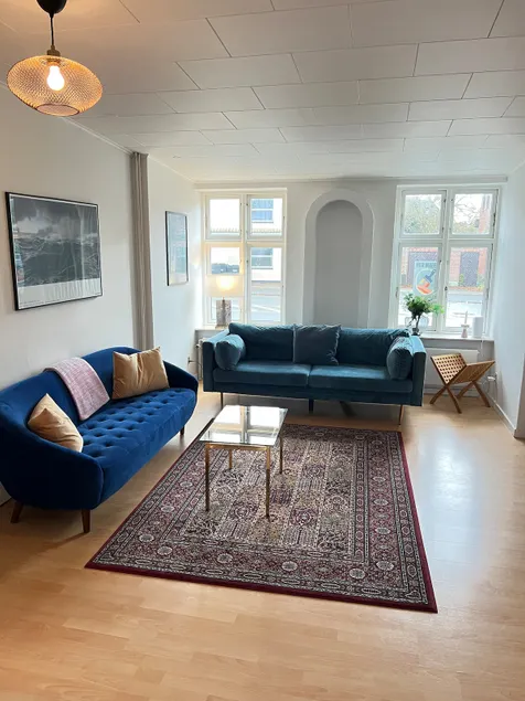 Spacious Apartment Near City & Åløkke Forest - Image 1