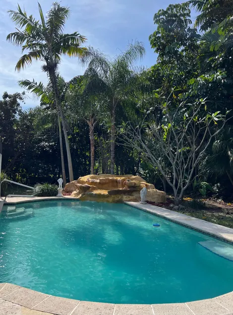 Your MIAMI Pool HOME under the Palms - Image 1