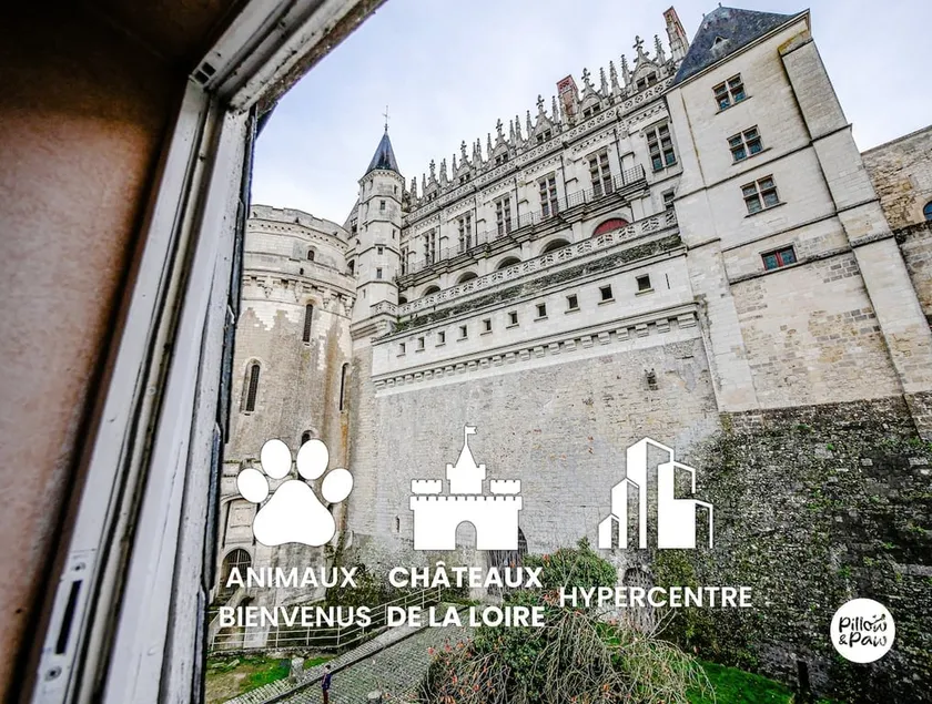 The Setter: cozy, at the foot of the Château, pet-friendly - Image 1