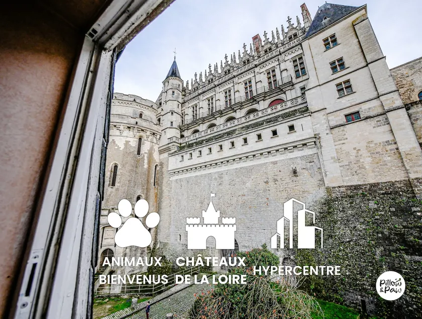 The Setter: cozy, at the foot of the Château, pet-friendly - Image 1