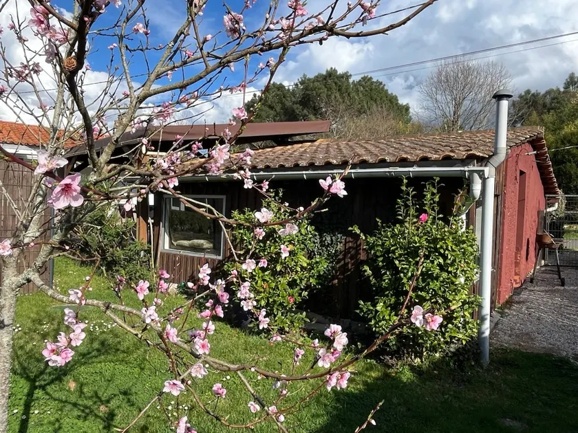 Cozy nest between sea and vineyards - Image 1