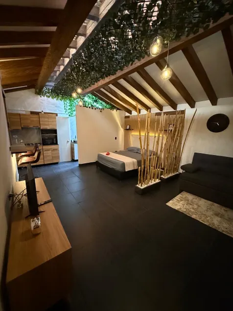 Loft apartment - Image 1