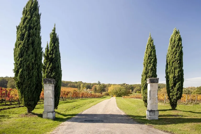 Charming house in the heart of the vineyards – Unobstructed view - Image 1