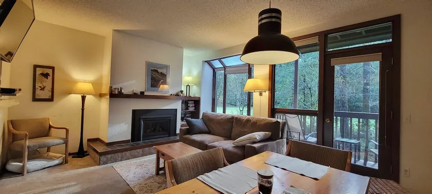 Mt. Baker Resort Stay | Hot Tub • Pool • Pets OK - Image 1