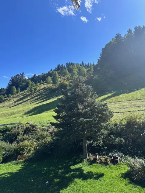 Stuiben - Image 1