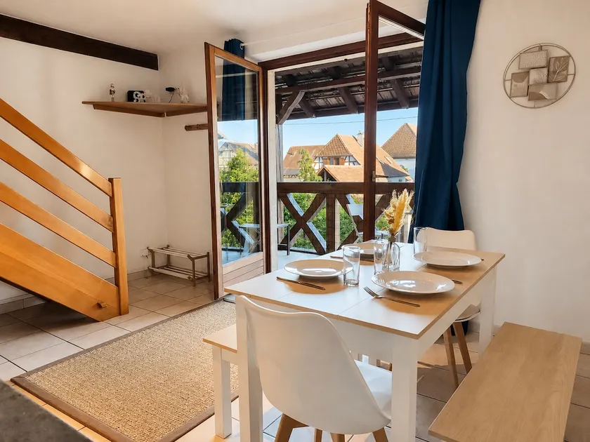 AlsAppart – air-conditioned duplex near Colmar - Image 1