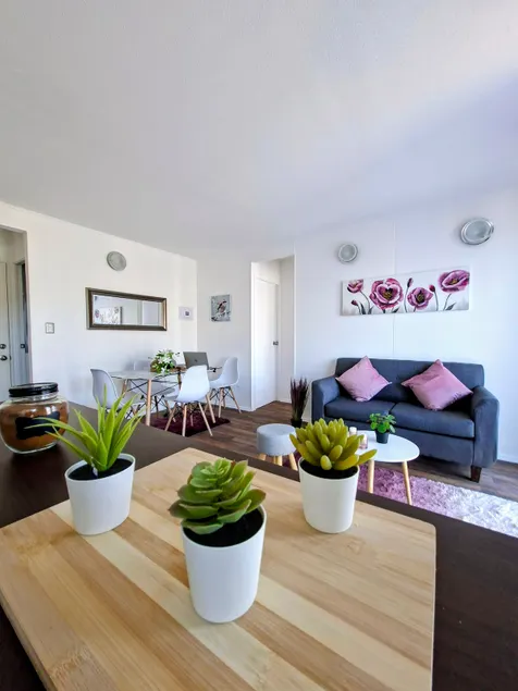 Downtown apartment near the lake - Image 1
