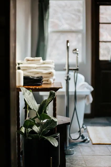 Rockwell Ridge | Chestnut Suite with Lux Bathroom - Image 1