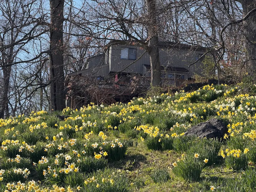Scenic & Serene: 3BR/3BA w Panoramic Hudson Views! - Image 1