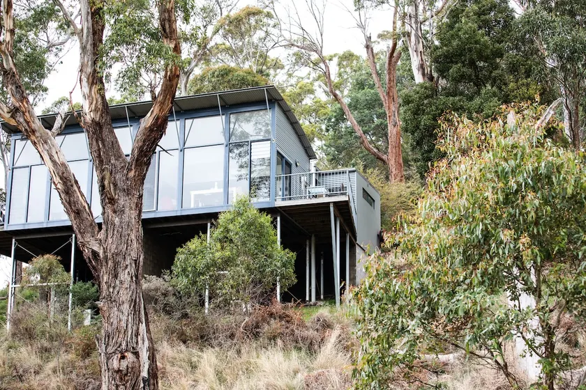 Tranquility Amongst The Trees - Image 1