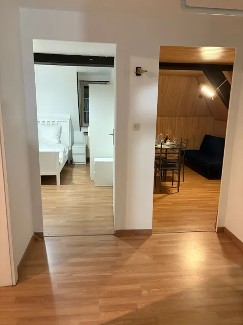 Luxury Townhouse in Strasbourg (Illkirch) for 6 People - Image 1