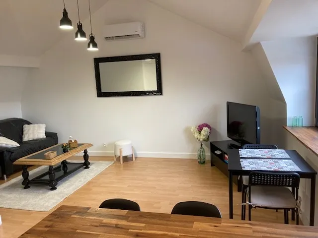 Cozy & quiet two-room apartment - 15 minutes from Lille - Image 1