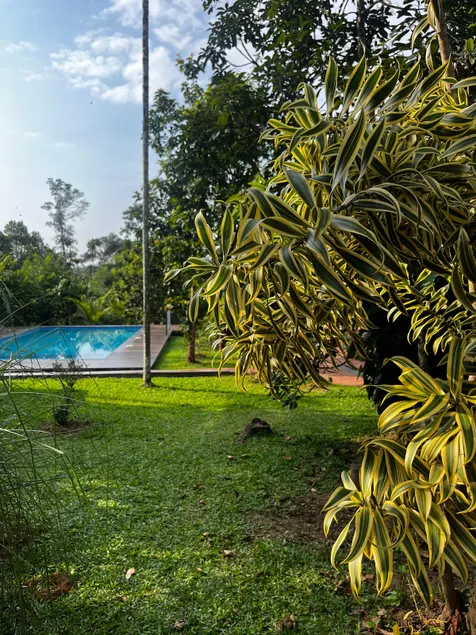 Avocado Orchards - Home Stay - Image 1