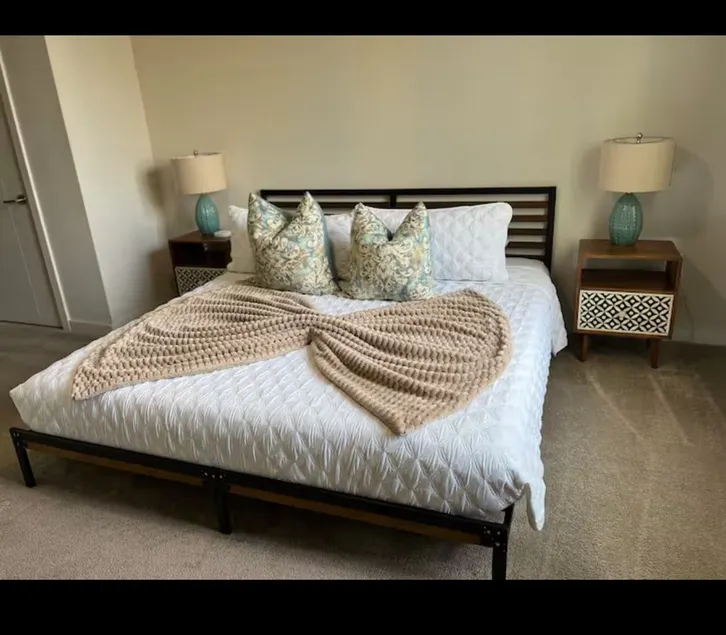 luxury apartment near, mayo clinic - Image 1