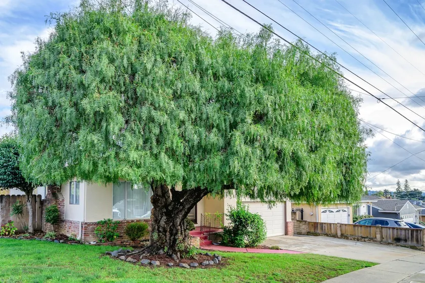 Castro Valley 5BR Home | AC + Free Parking - Image 1