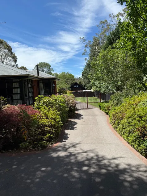 Lyrebird Lodge - 350m to blackheath village, 3 bdr, pet friendly, sunroom - Image 1