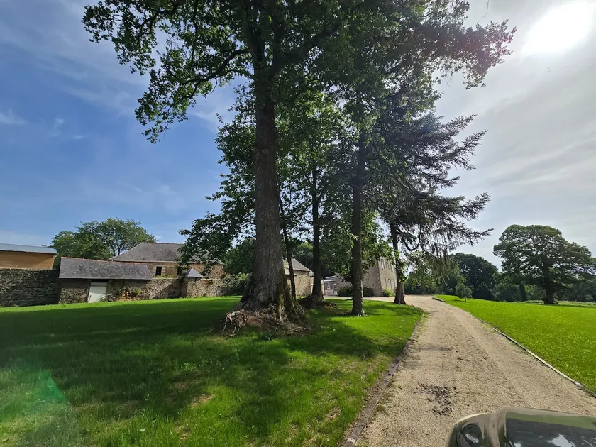 Family home with pool – reunion - Image 1