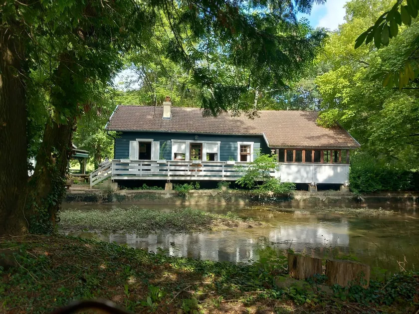 The dream along the water - Image 1