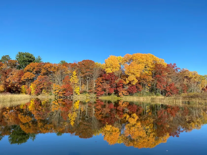 Clam River Retreat - Image 1