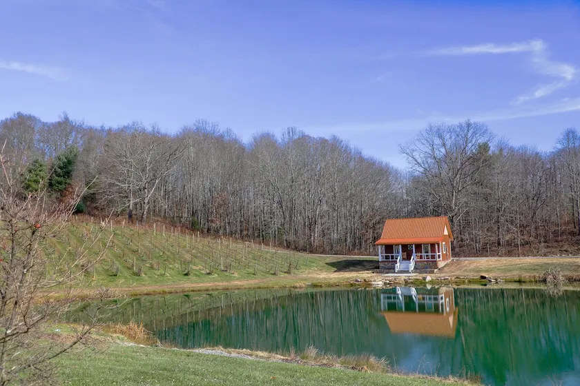 Bear Creek Cabin • Vineyard Views & Fishing Pond - Image 1