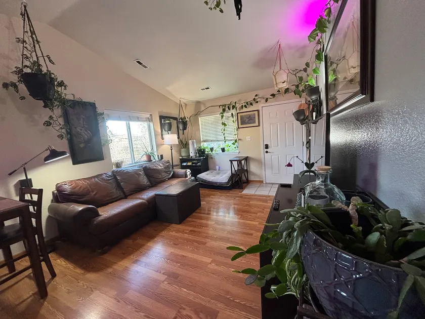 Urban homestead; two bed, one bath - dog friendly! - Image 1