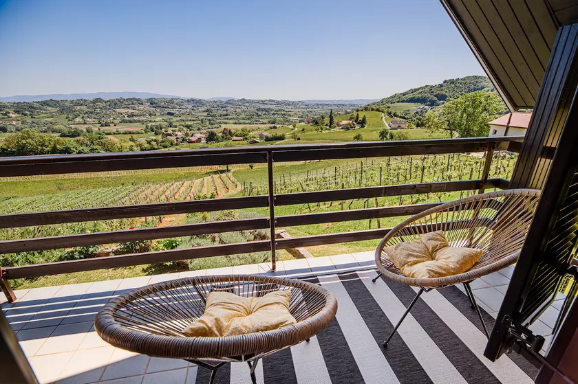 Holiday Home Vinea View – Bizeljsko Wine Hills - Image 1