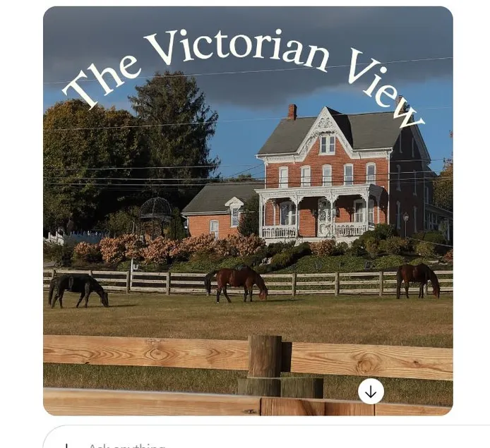 The Victorian View - Image 1