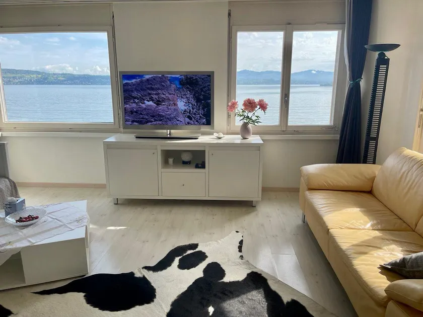 Lake Zurich - rooms with panorama view - Image 1