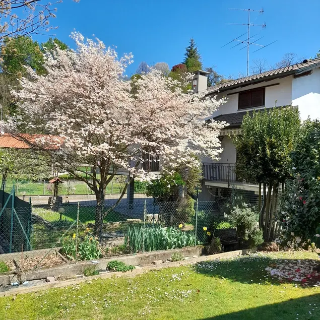 Il Vecchio Kiwi - House with private garden - Image 1