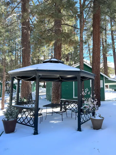 Bear Manor 6 - Near Alpine Slide with Gas stove - Image 1