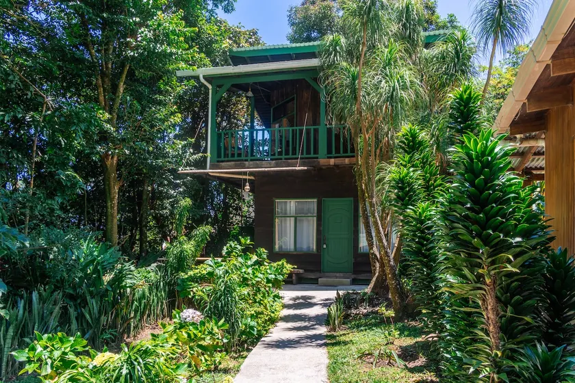Treetop Cabin w/ Private Balcony - Image 1