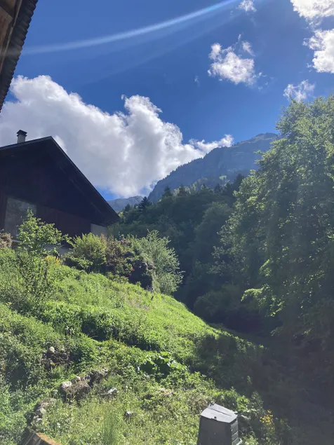 *The Alpine Guesthouse* La Forclaz, River & Forest - Image 1