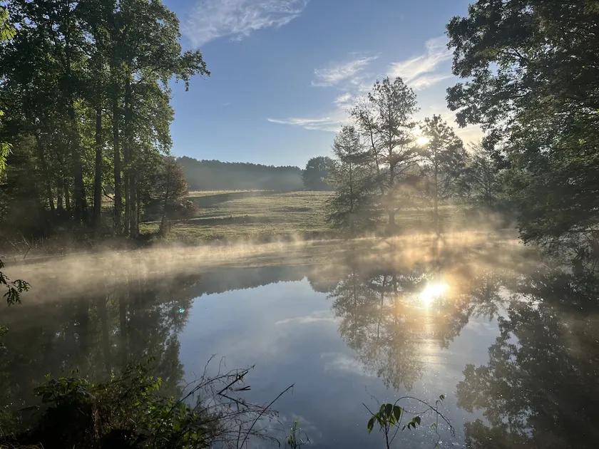 The Sanctuary at Salem Lake - Image 1
