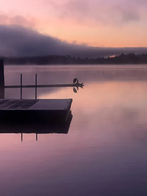 Bloom & Stone | Lake Samish Retreat - Image 1