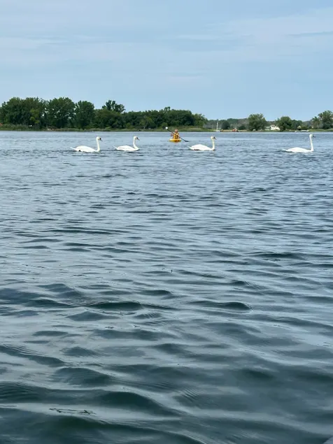 Weller’s Bay Getaway - Image 1