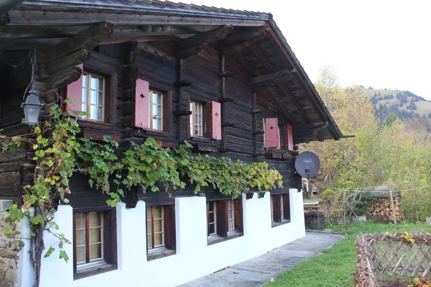 Chalet Bergwelt - Panoramic view - Image 1