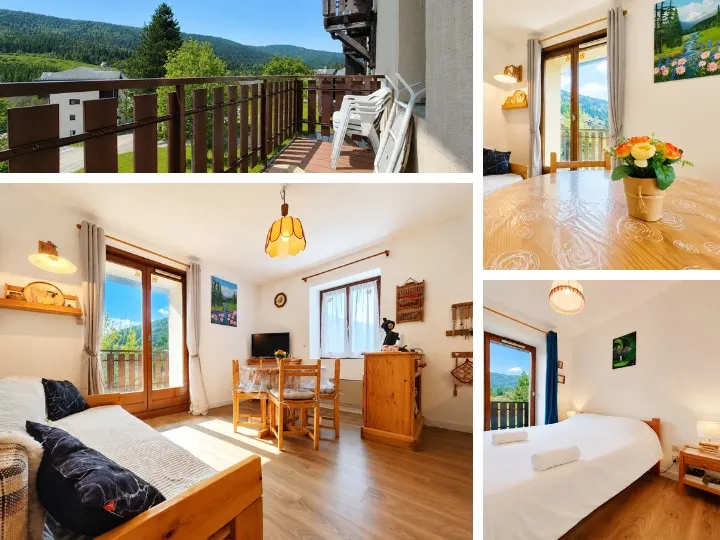 Le Dahu • 4 people • at the foot of the slopes • mountain view - Image 1
