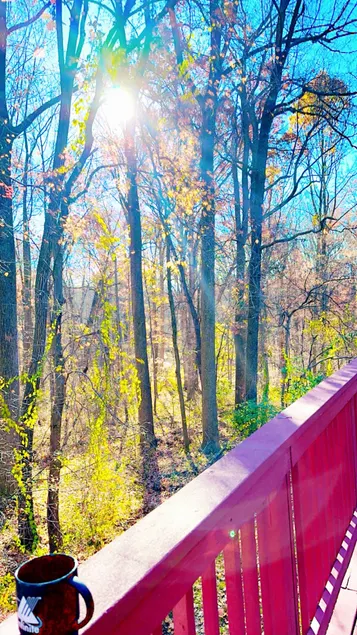 Wooded Retreat | Free Parking | Pets | Near DC - Image 1