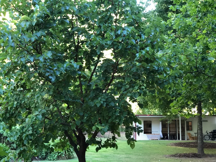 Hop Hall Cottage - Image 1