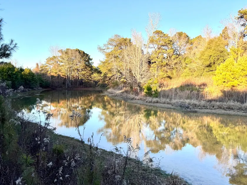 Heritage Hill Estate offers serene country living - Image 1